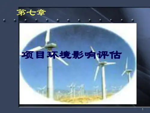 项目论证评估第7章
