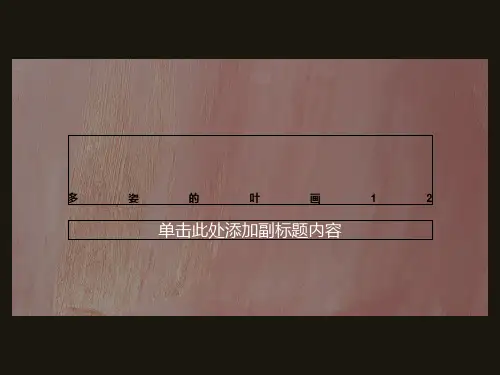 多姿的叶画12