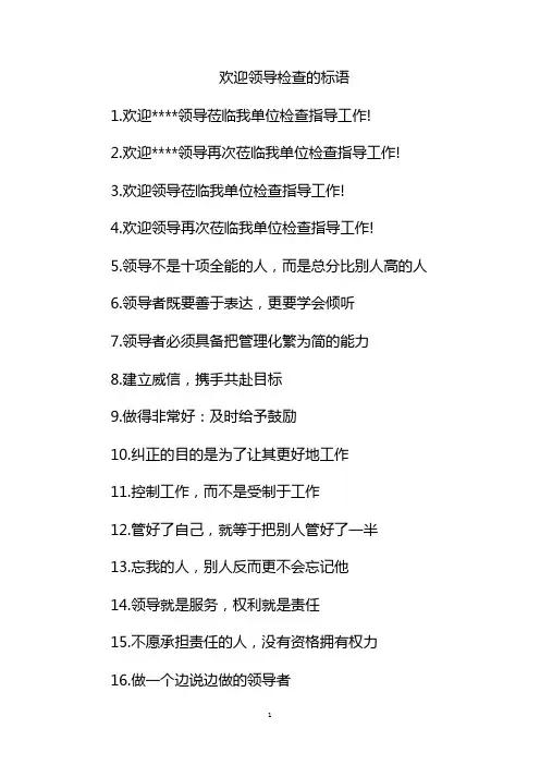 欢迎领导标语
