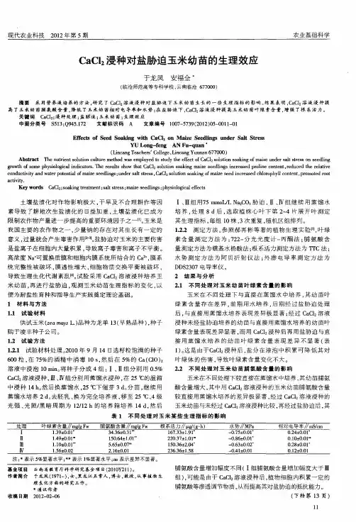 CaCl2浸种对盐胁迫玉米幼苗的生理效应