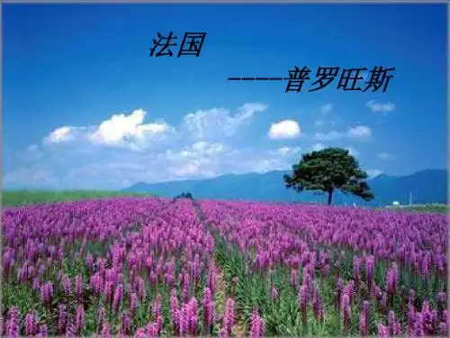 普罗旺斯