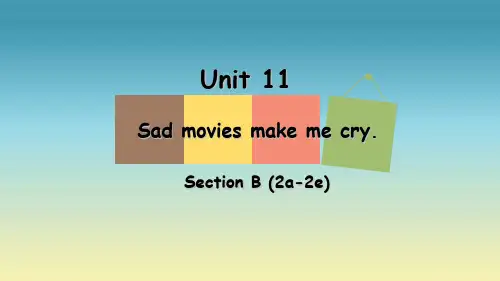 人教版九年级英语Unit11 B  2a-2e