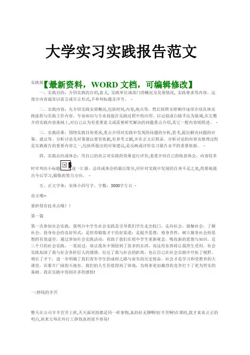大学实习实践报告范文