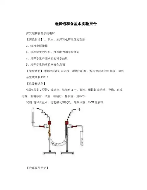 电解饱和食盐水实验报告