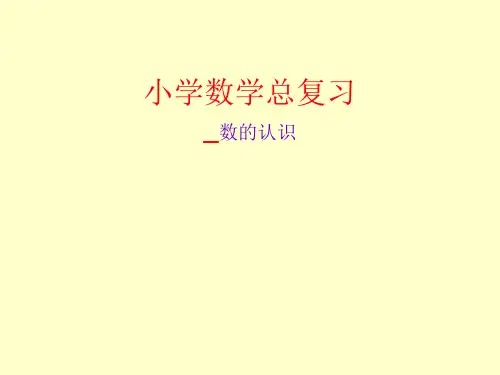 小学数学总复习.PPT