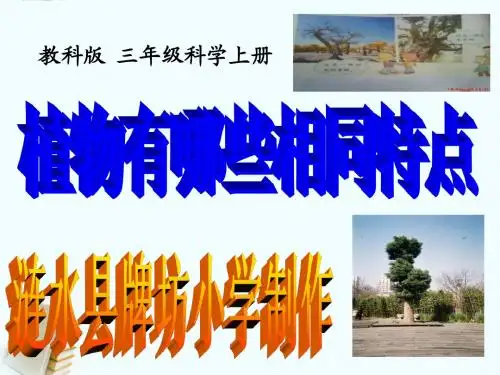 三年级科学上册_植物有哪些共同特点课件_教科版(含课堂作业)