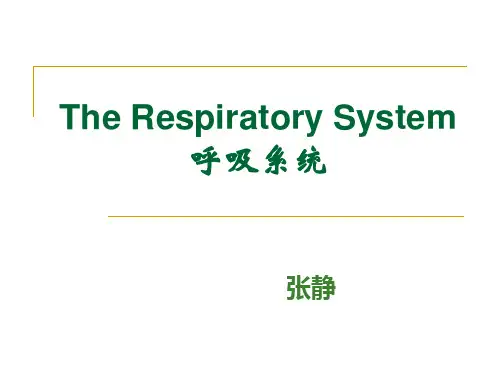 8.Respiratory system