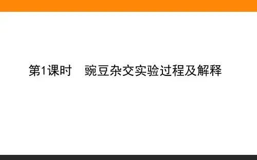 1.1.1豌豆杂交实验过程及解释