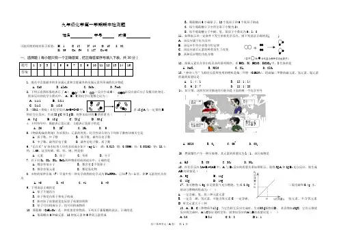 九年级化学期中试卷