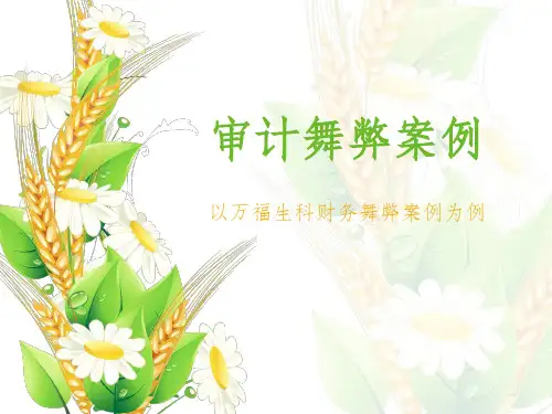 《审计舞弊案例》