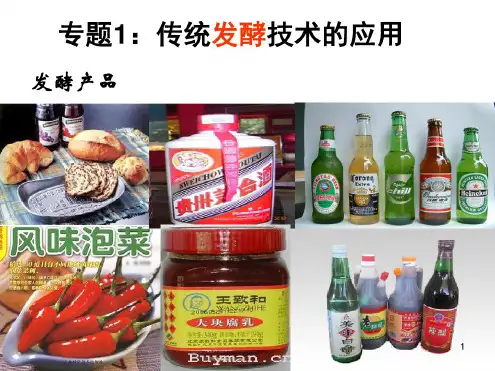 人教版高中生物选修1专题1课件