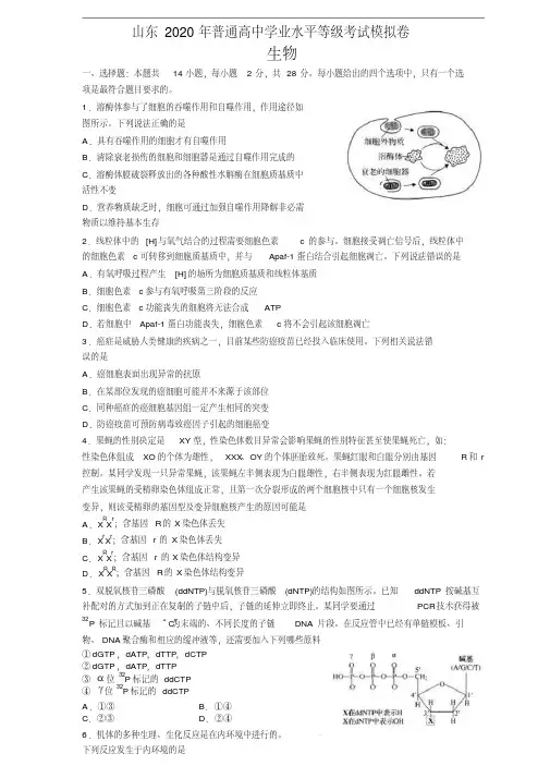 山东省新高考统一考试生物模拟卷含答案