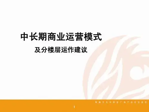 隆德丰文化商业广场产品设计及运营建议