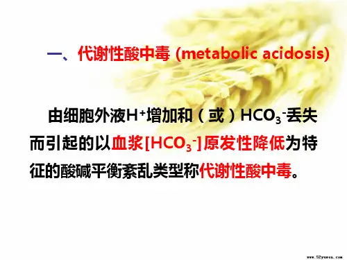 代谢性酸中毒说课讲解