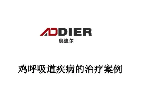 鸡呼吸道疾病的治疗案例
