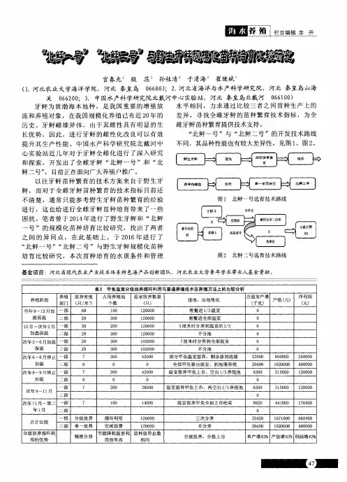 “北鲆一号”“北鲆二号”与野生牙鲆规模化苗种培育比较研究