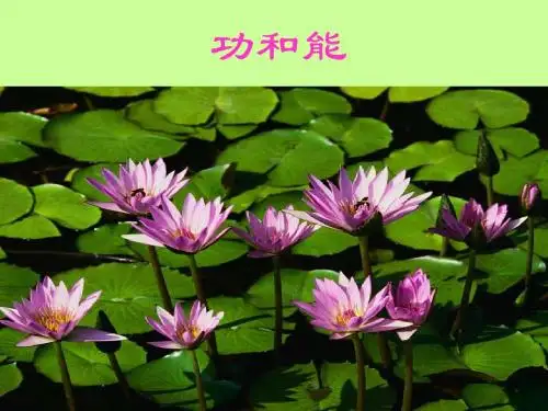 8功和功率1