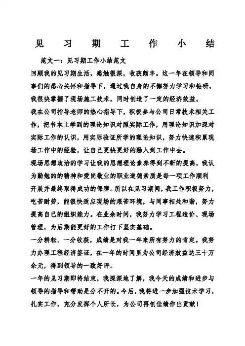见习期工作小结