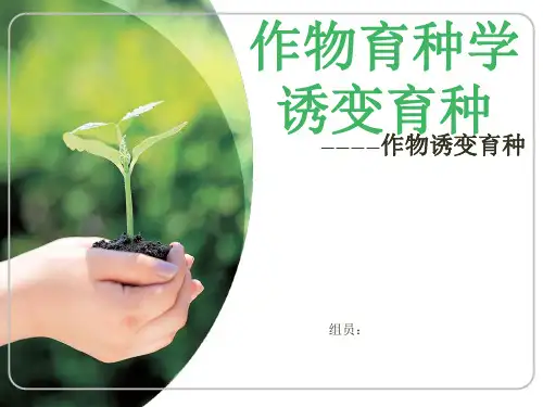 作物育种学诱变育种 ppt课件