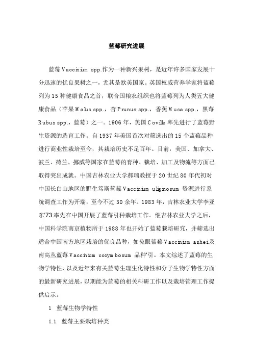 蓝莓研究进展