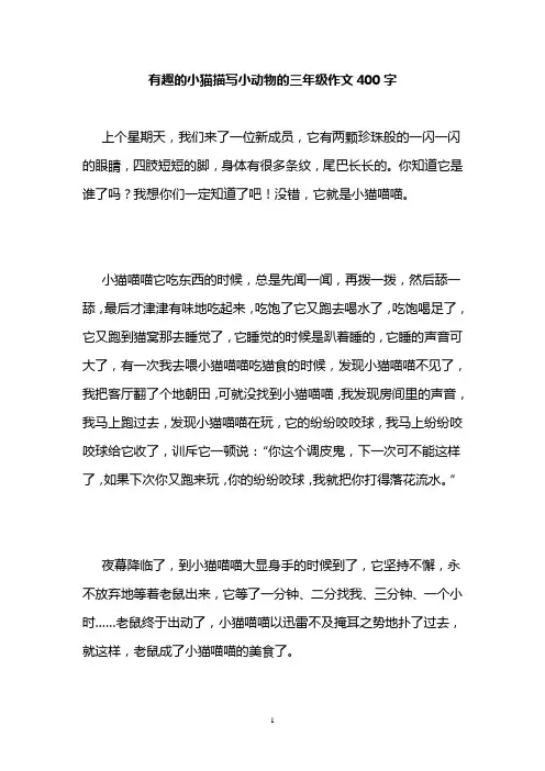 有趣的小猫描写小动物的三年级作文400字