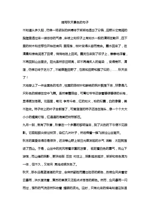 描写秋天景色的句子 2