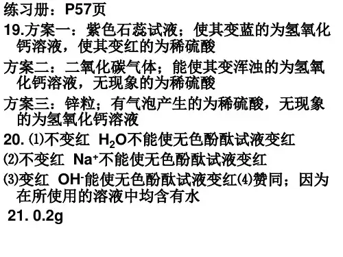 九年级化学下册练习册答案
