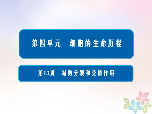 全国2019版版高考生物一轮复习第13讲减数分裂和受精作用课件