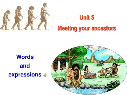 B8Unit5-Words