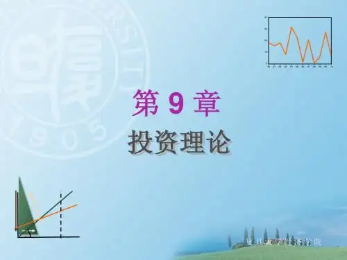 09--第九章投资理论