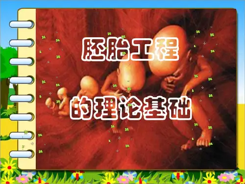 胚胎工程的理论基础