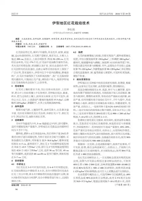 伊犁地区红花栽培技术