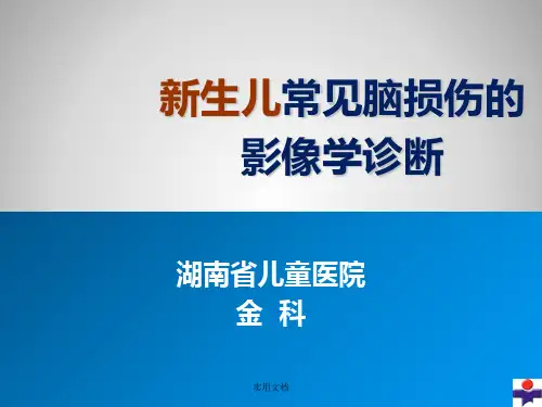 新生儿脑损伤的影像学诊断