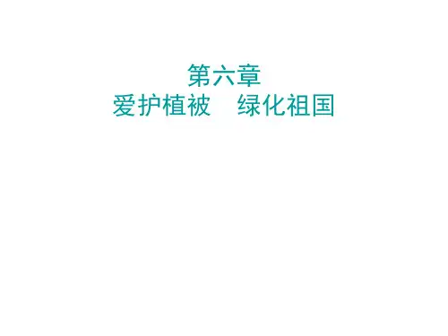 秋人教版七年级生物上册课件:第六章(共14张PPT)