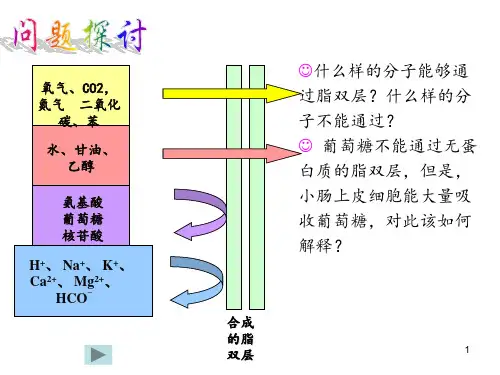 物质跨膜运输的方式复制PPT课件