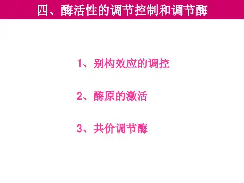 08-酶-5
