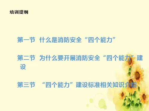 《消防安全四个能力培训》PPT课件