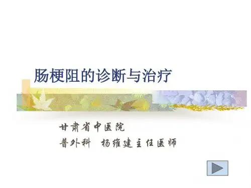 肠梗阻-杨维建课件