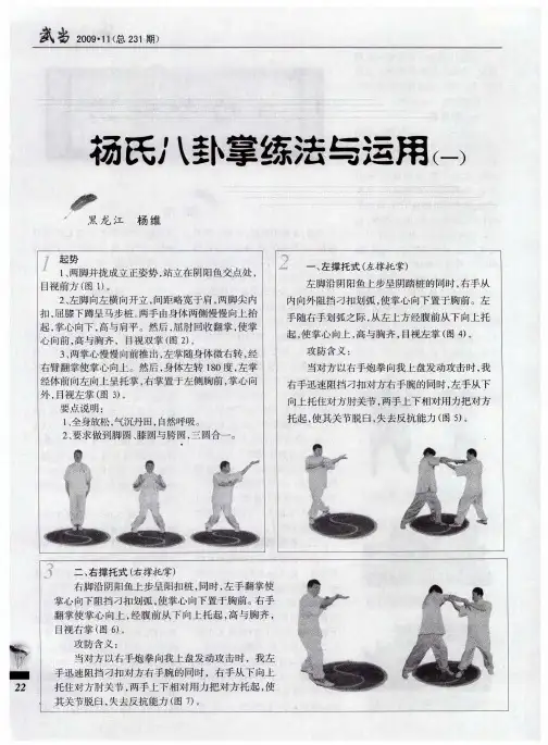 杨氏八卦掌练法与运用(一)