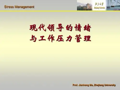现代领导的情绪和压力管理ppt