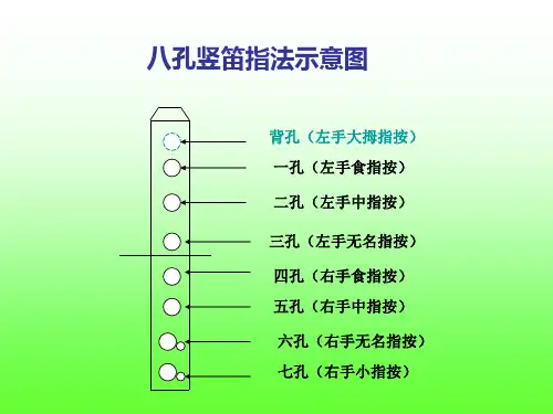 8孔竖笛指法