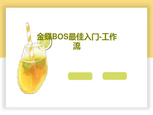 金蝶BOS最佳入门-工作流共46页文档