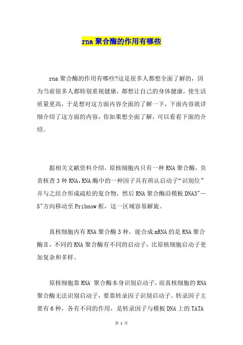 rna聚合酶的作用有哪些