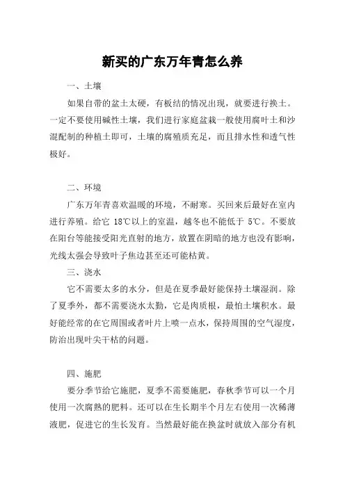 新买的广东万年青怎么养