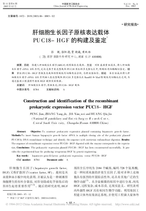 肝细胞生长因子原核表达载体PUC18_HGF的构建及鉴定