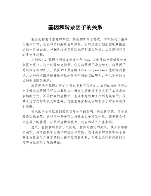 基因和转录因子的关系