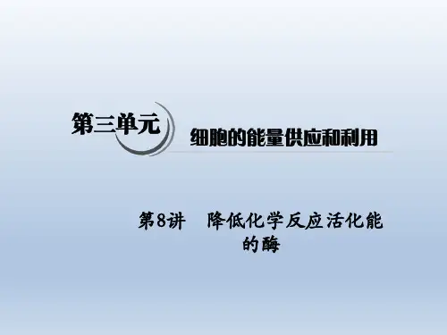 2020《高考生物》一轮复习课件第8讲 降低化学反应活化能的酶