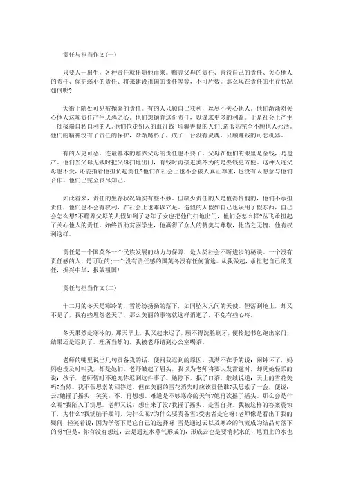 责任与担当作文  三篇