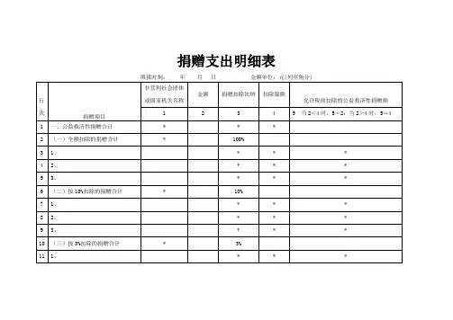 捐赠支出明细表