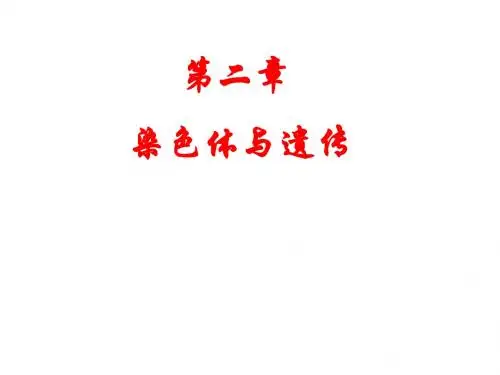 减数分裂过程中染色体变化(区)